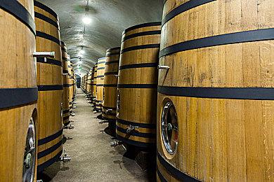 《黑相集：之字路VR》更新补丁跳票引玩家不满